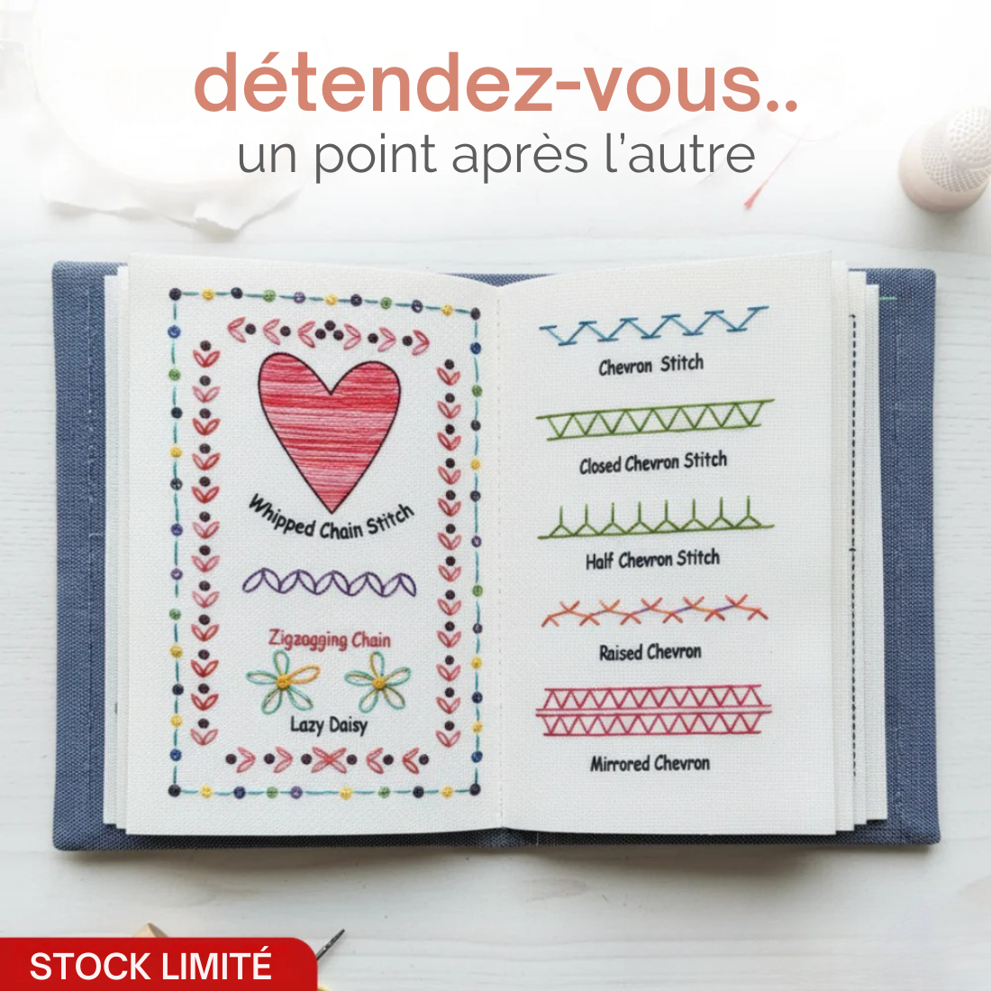 Livre de broderie Embrunes