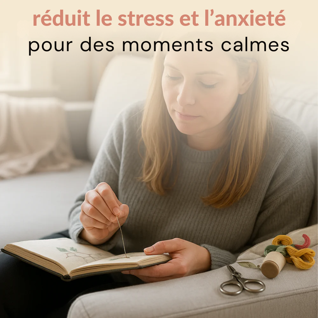 Livre de broderie Embrunes