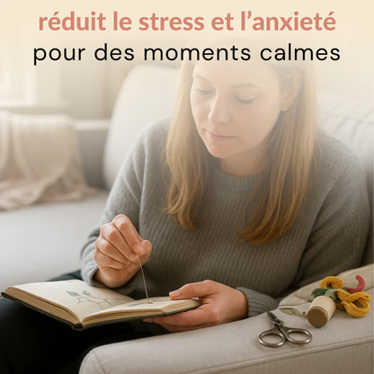 Livre de broderie Embrunes