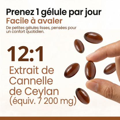 Cannelle de Ceylan Embrunes — 7 200 mg à l'huile MCT